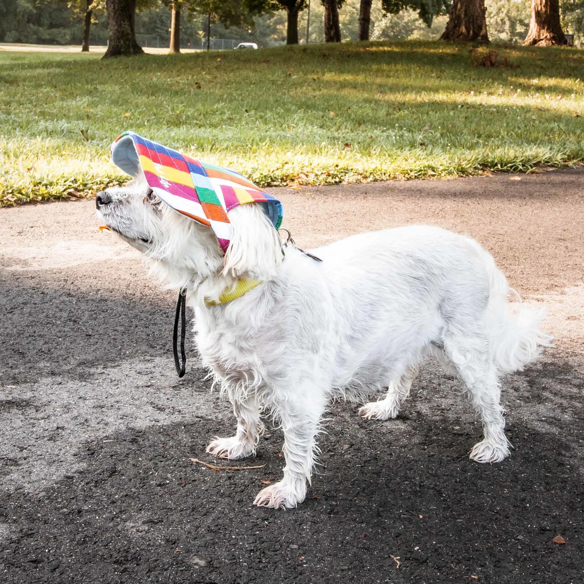 Adjustable Dog Hat Cap Extras