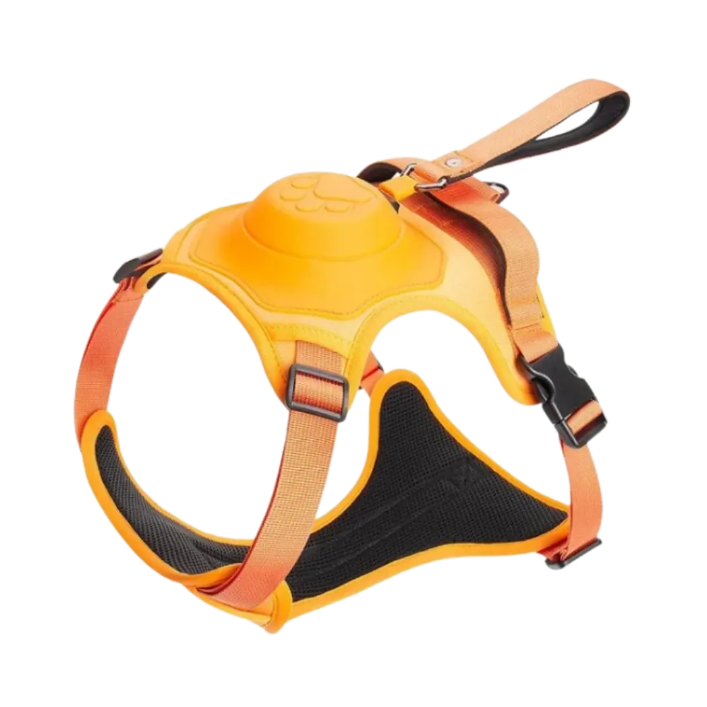 Adjustable Ergonomic Retractable Leash Set