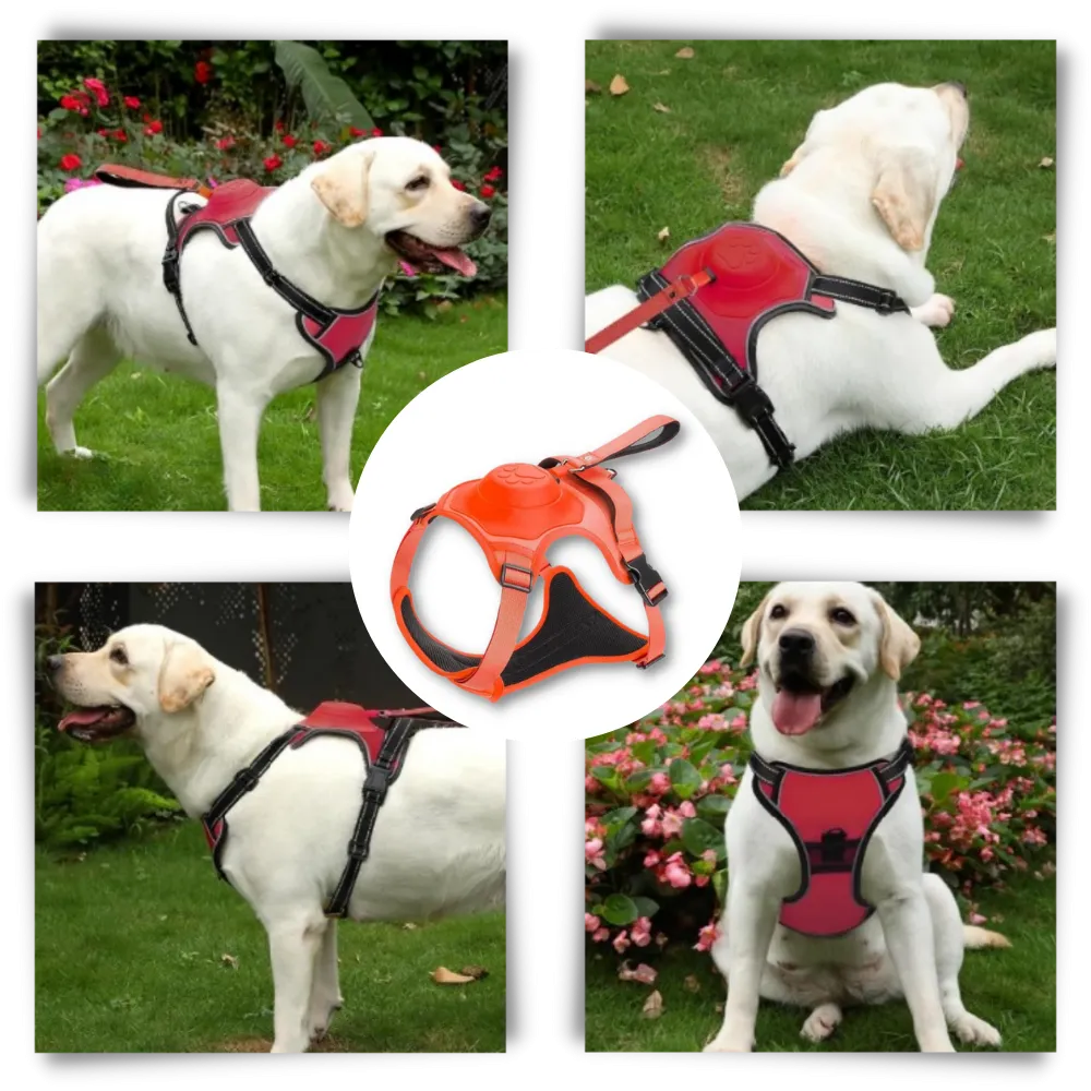 Adjustable Ergonomic Retractable Leash Set