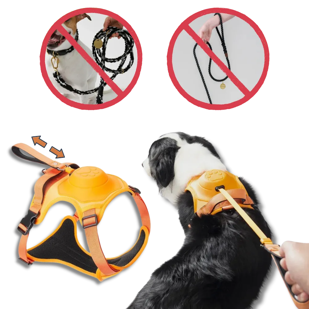 Adjustable Ergonomic Retractable Leash Set
