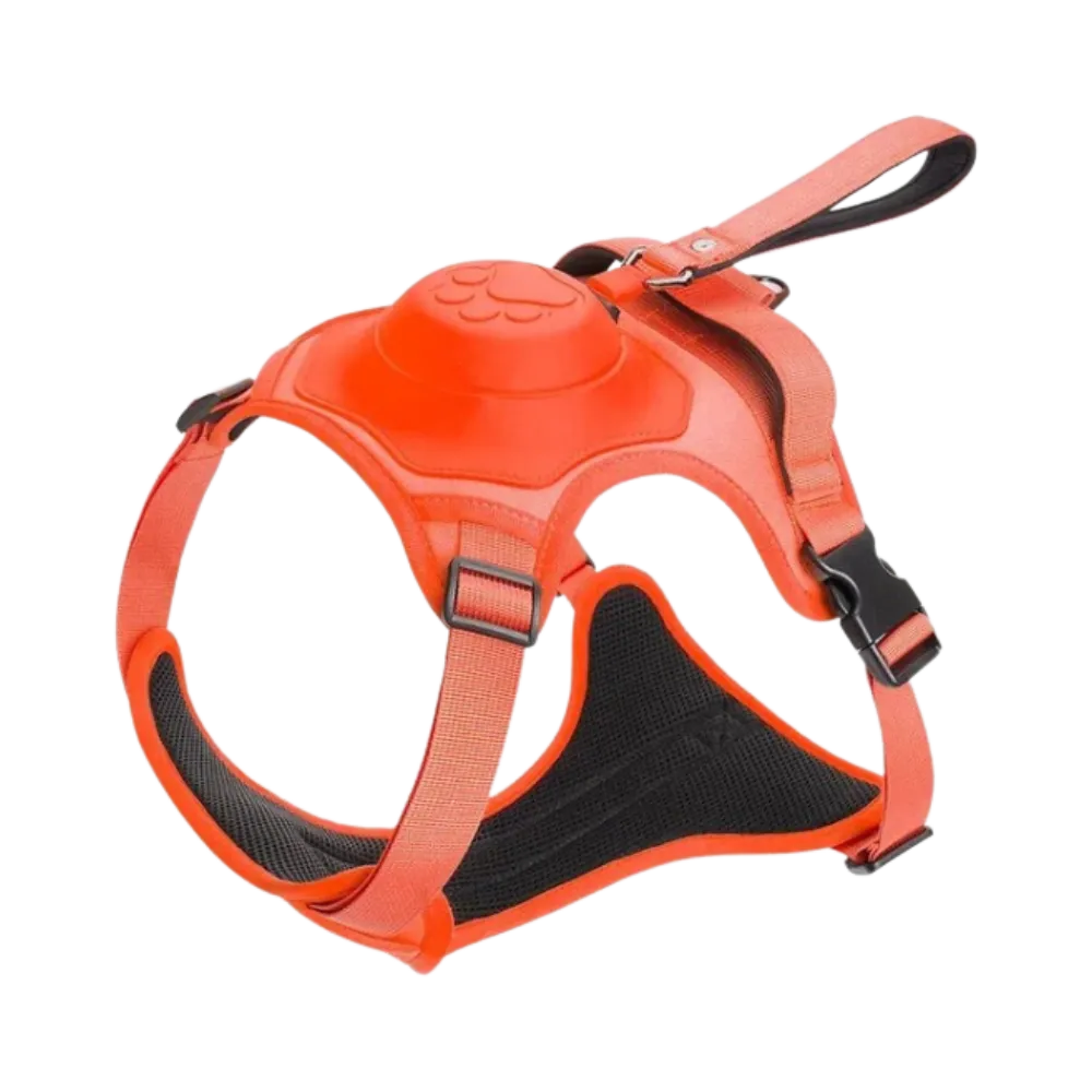 Adjustable Ergonomic Retractable Leash Set
