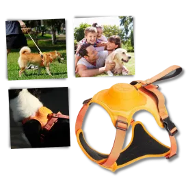 Adjustable Ergonomic Retractable Leash Set