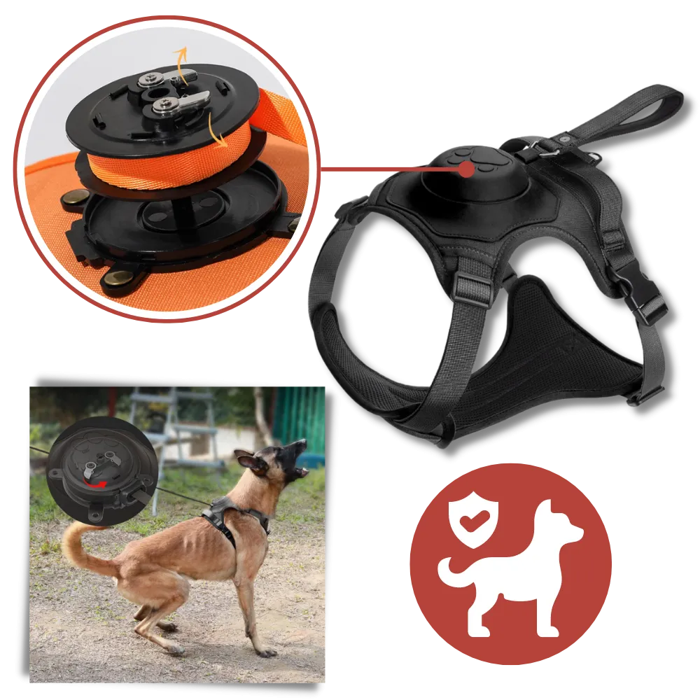 Adjustable Ergonomic Retractable Leash Set