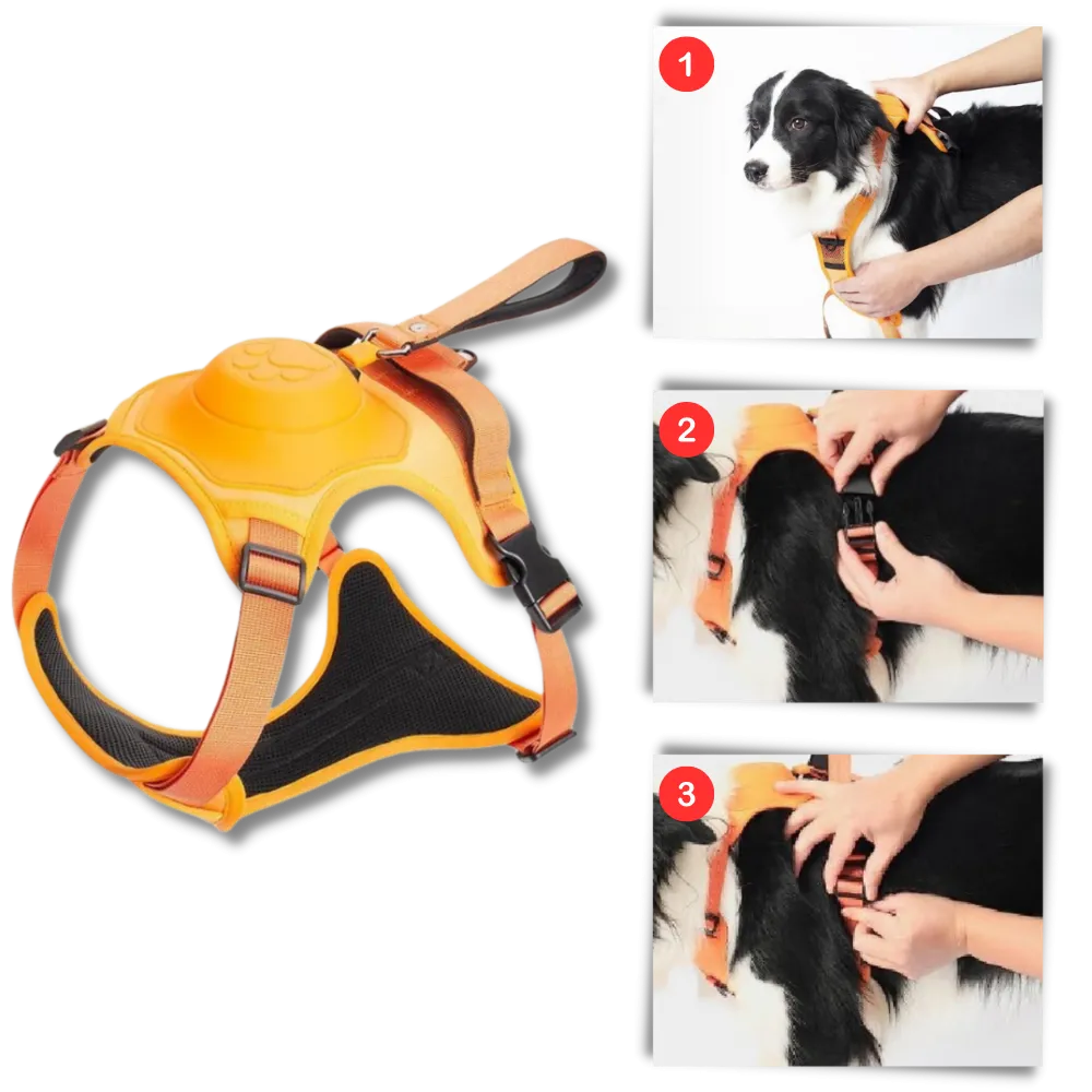 Adjustable Ergonomic Retractable Leash Set