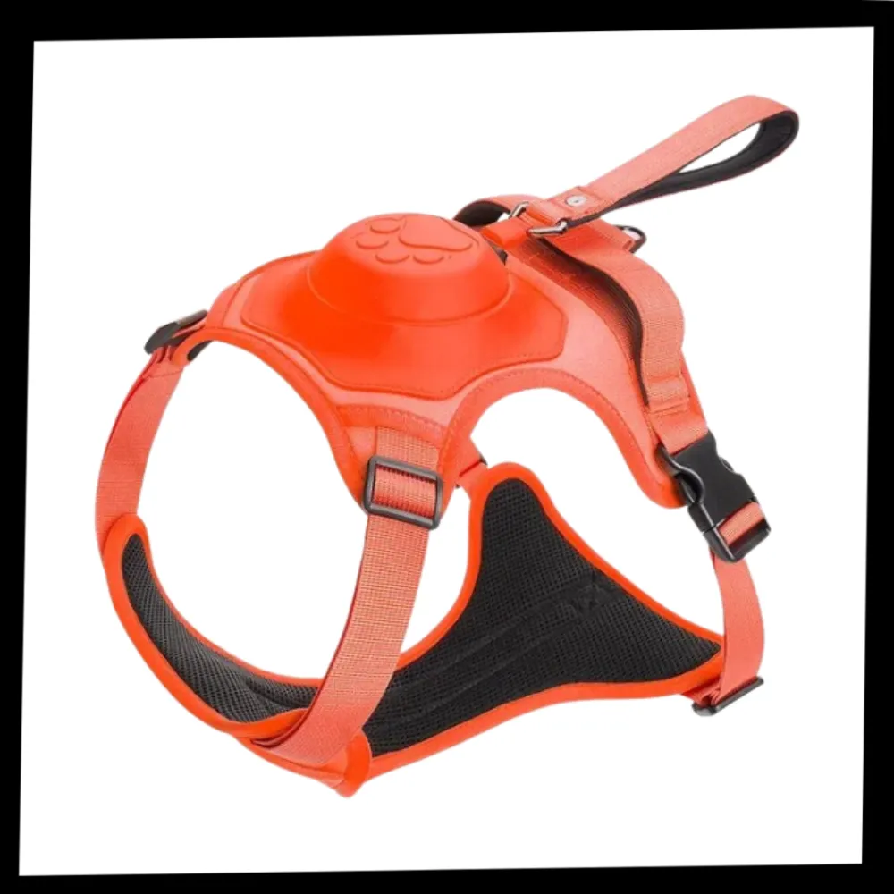 Adjustable Ergonomic Retractable Leash Set