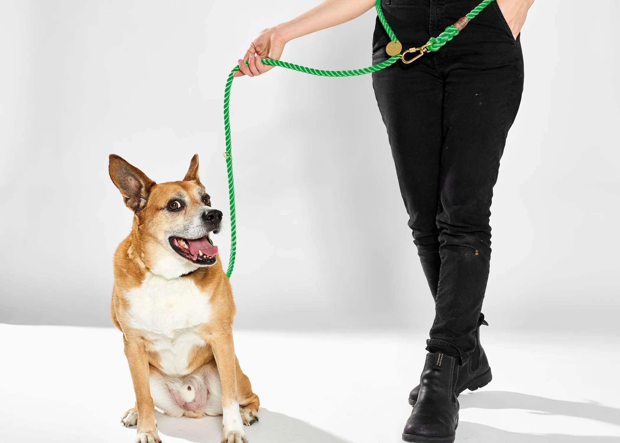 Adjustable Rope Leash, Miami Green