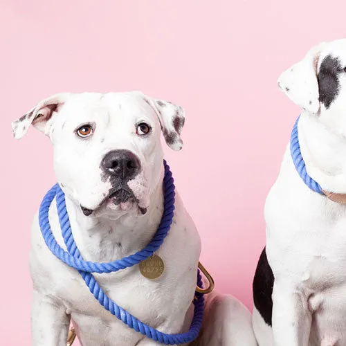 Adjustable Rope Leash, Periwinkle solid ombre