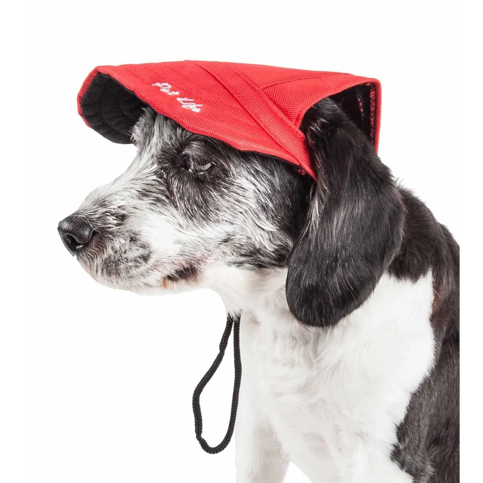 Adjustable UV Protection Dog Hat Extras