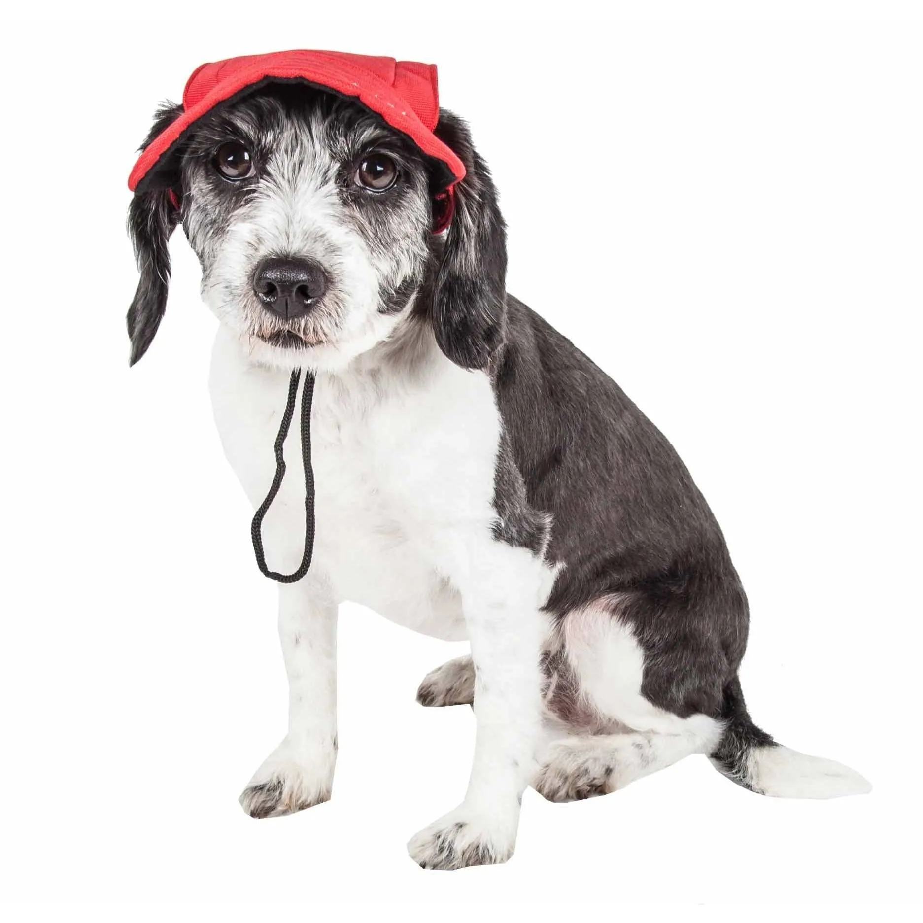 Adjustable UV Protection Dog Hat Extras