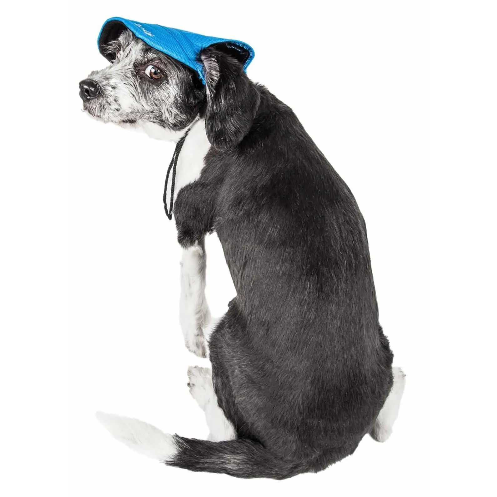 Adjustable UV Protection Dog Hat Extras