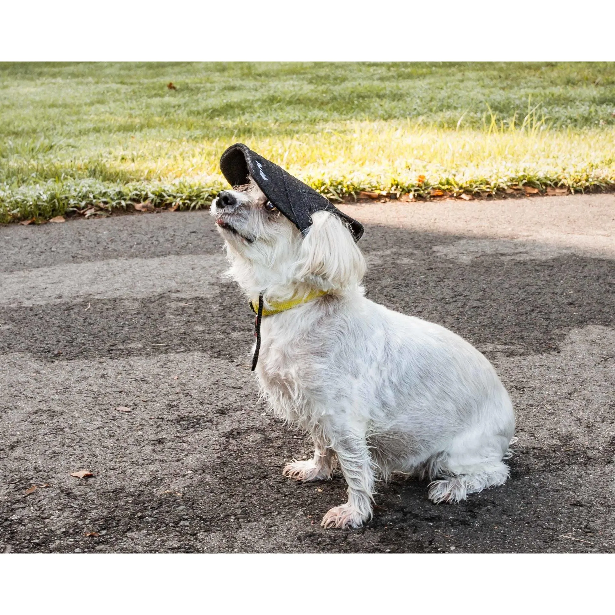 Adjustable UV Protection Dog Hat Extras