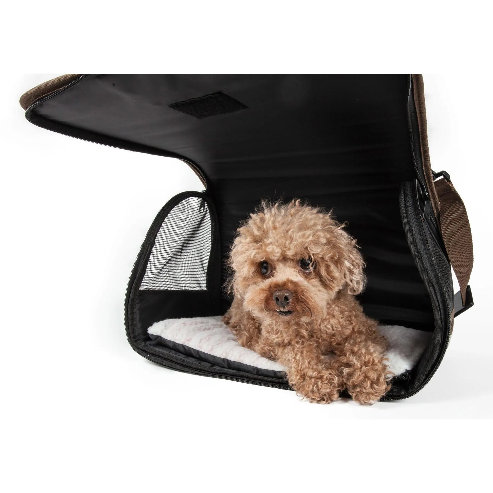 Airline approved folding pet carrier Explorer