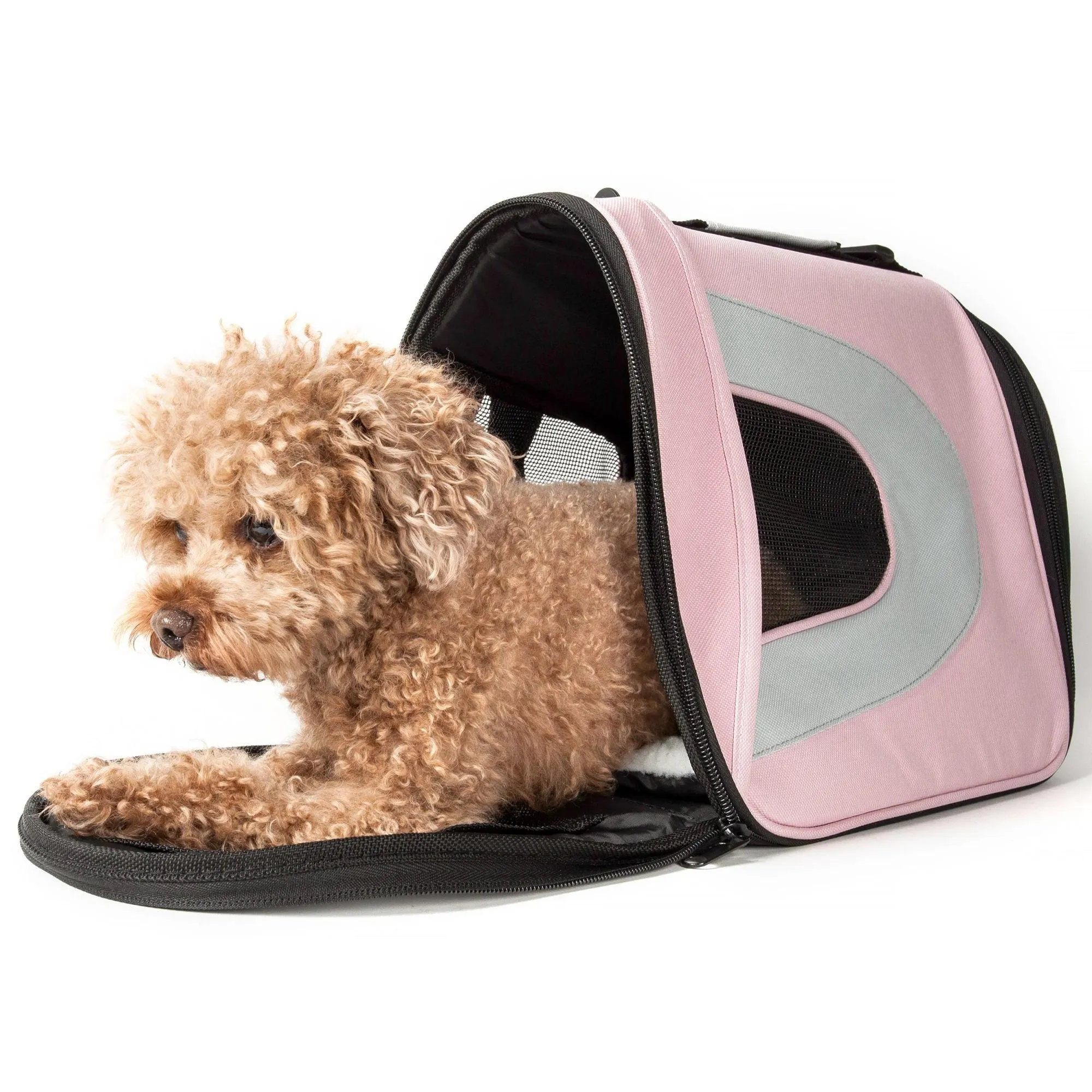 Airline approved folding pet carrier Transport