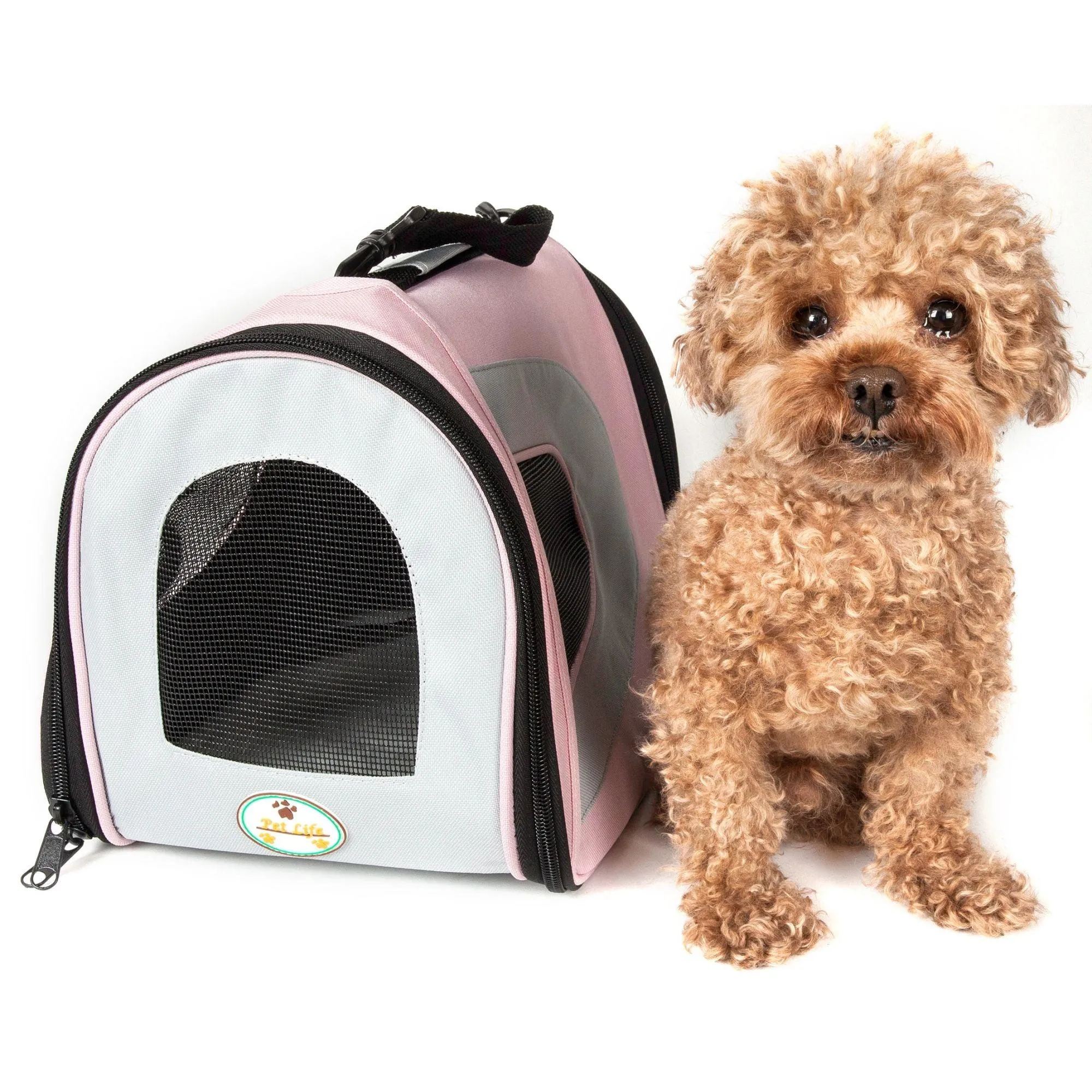 Airline approved folding pet carrier Transport