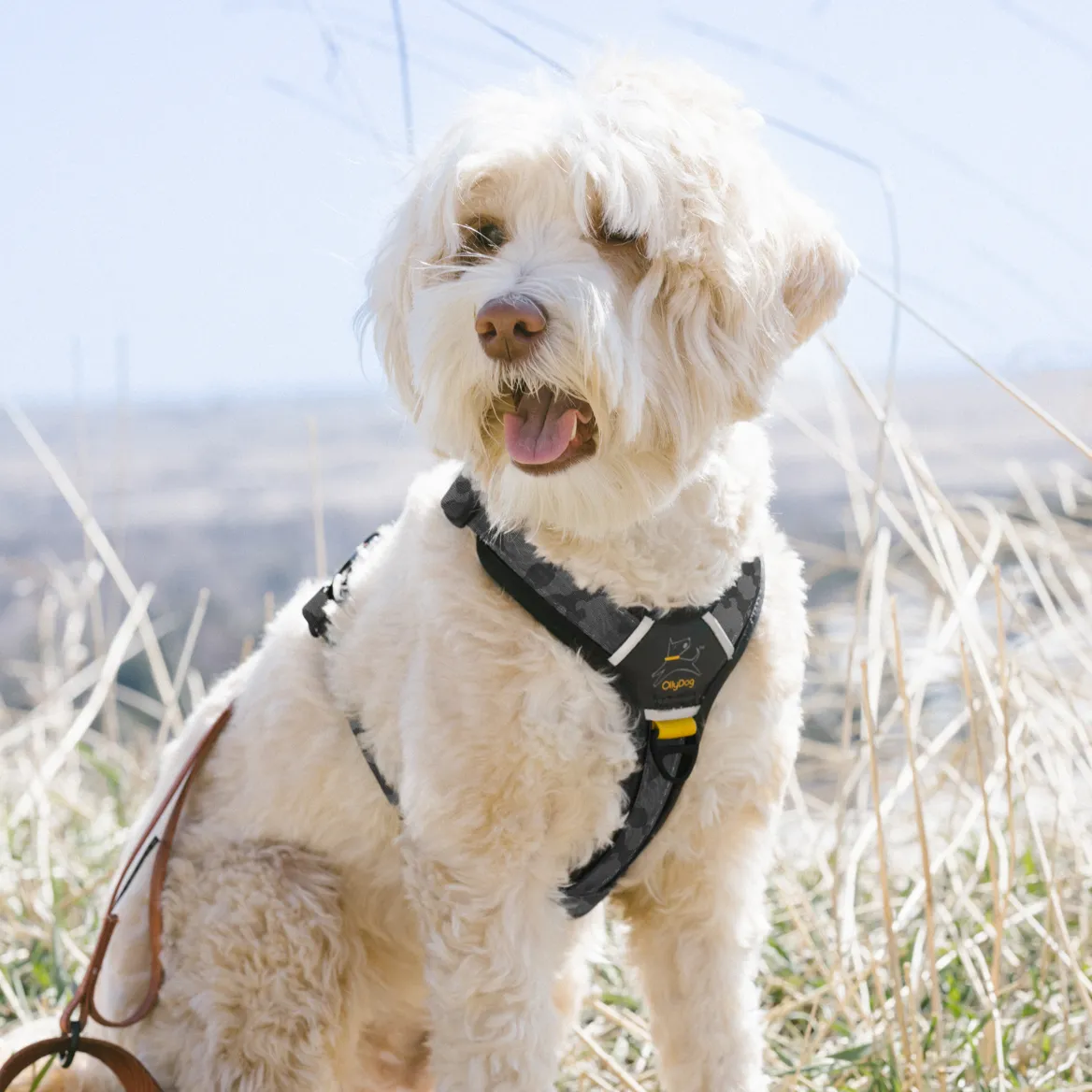 Alpine Reflective Comfort Harness | Padded Dog Harness