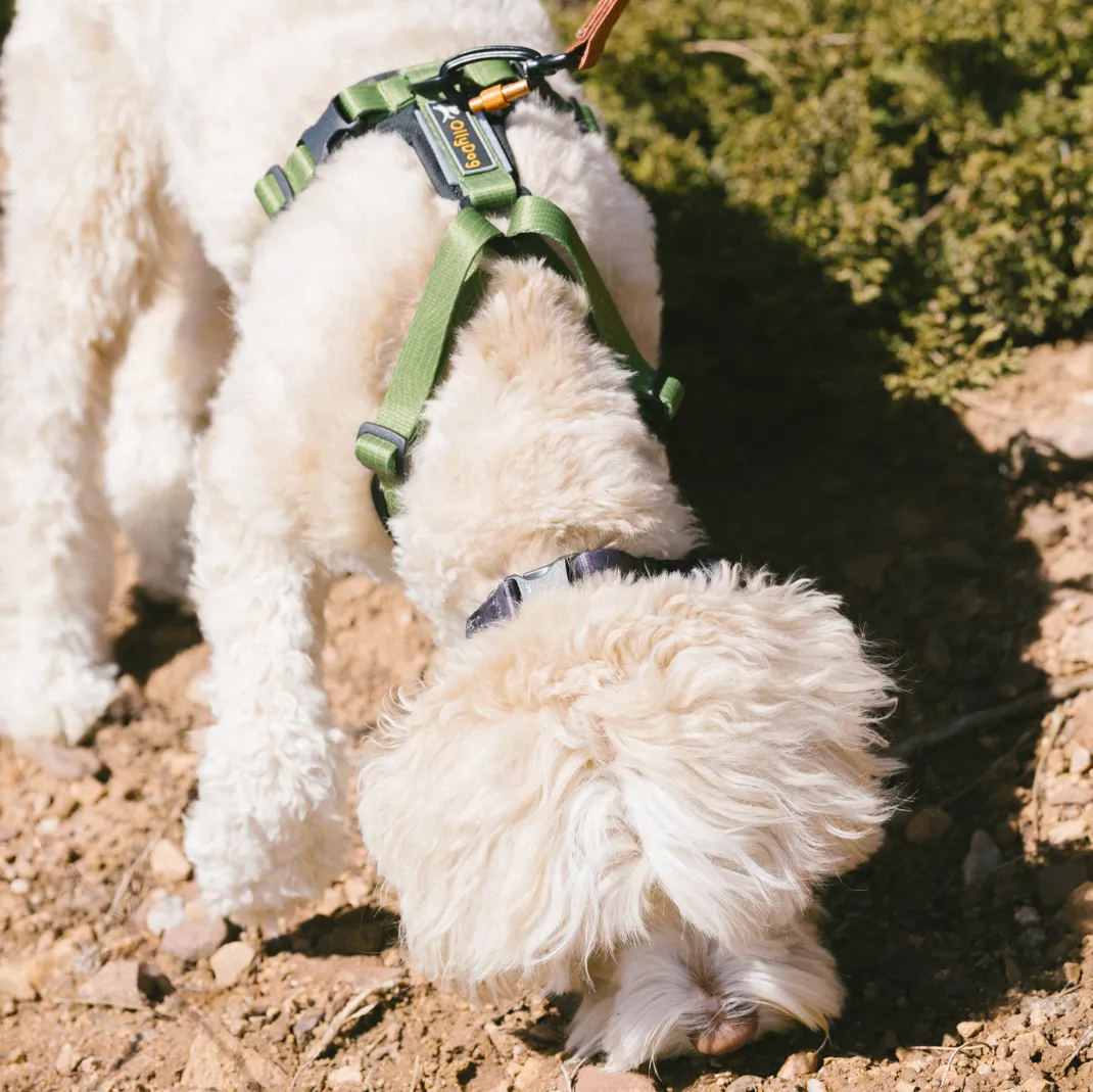 Alpine Reflective Comfort Harness | Padded Dog Harness