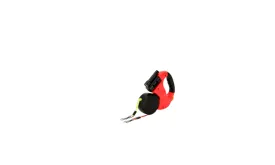 Automatic Retractable Leash