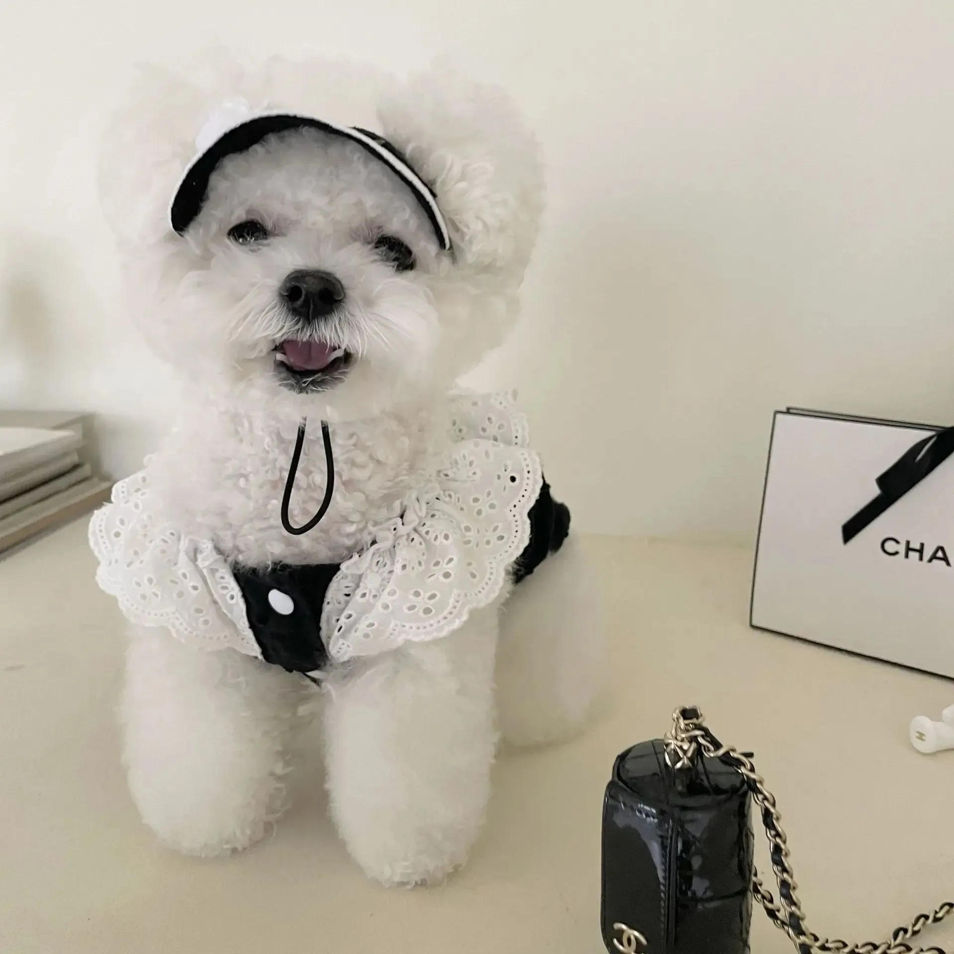 [Best for IG TT] Elegent Golf Sun Puppy Kitty Hat