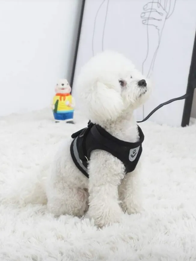 Black Breathable Mesh Dog Harness & Leash Reflective Strip