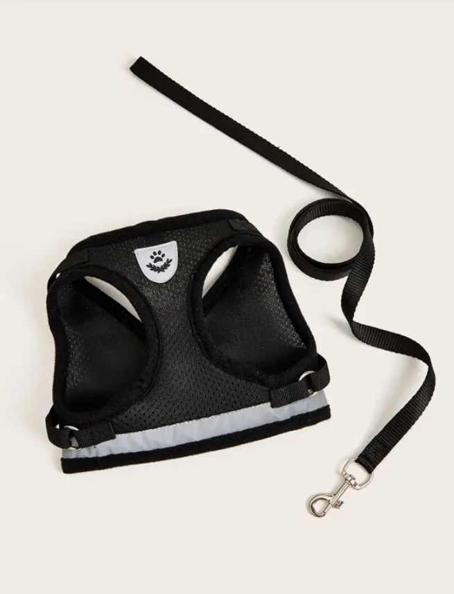 Black Breathable Mesh Dog Harness & Leash Reflective Strip
