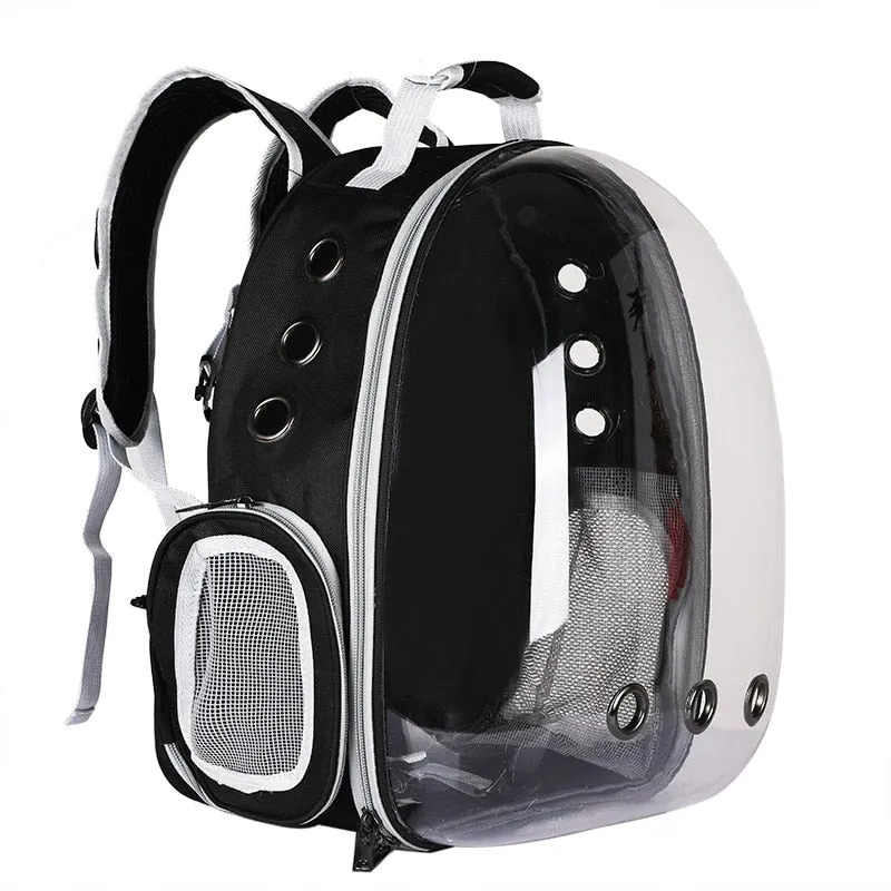 Black Cat Backpack