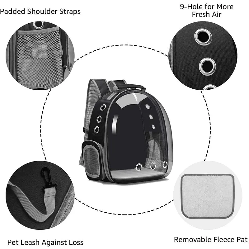 Black Cat Backpack