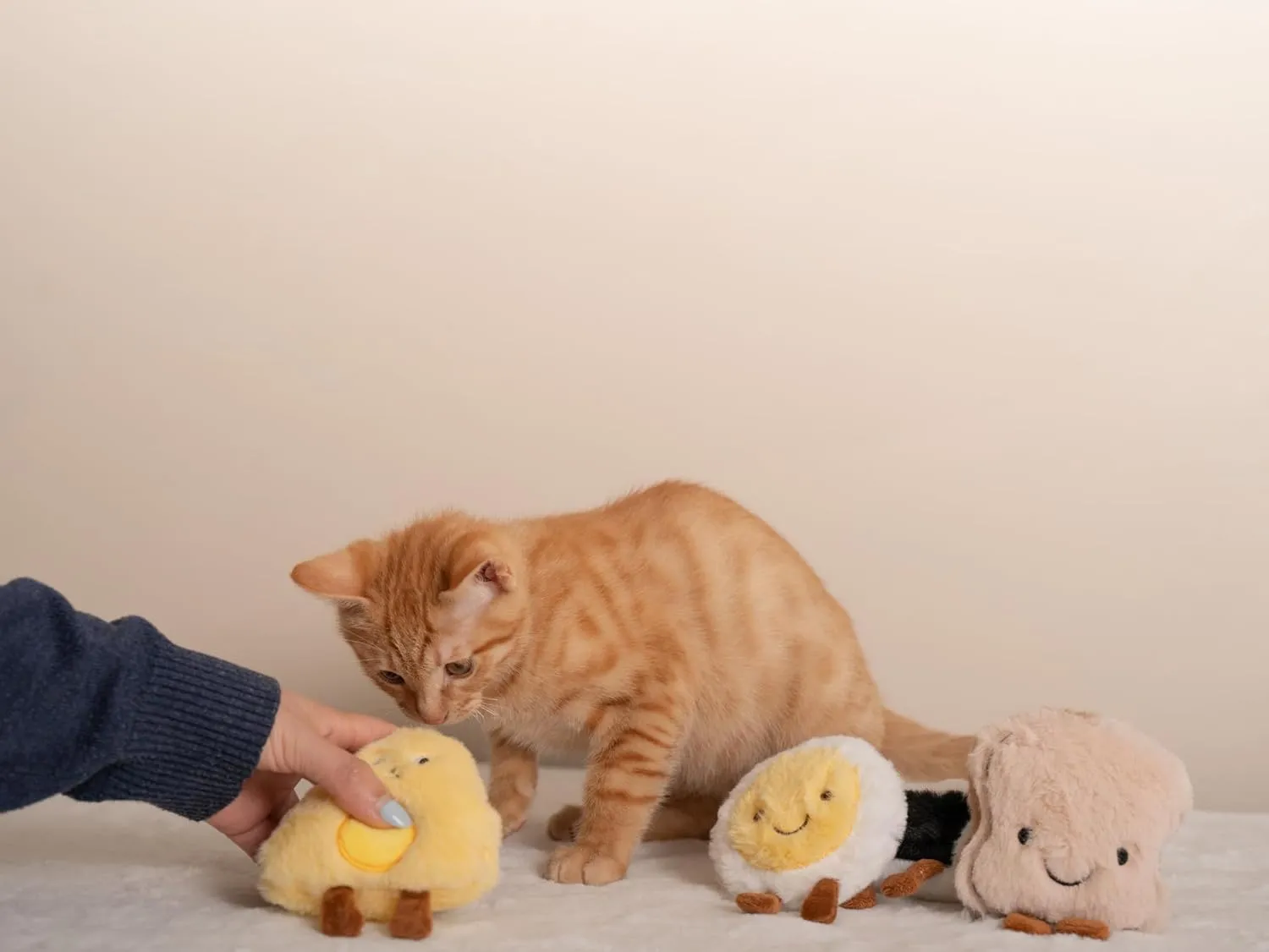 BLUE BAY Plush Interactive Toy with Catnip for Cats and Kittens | Chew, Bite, Boredom Relief (Purr Toast)