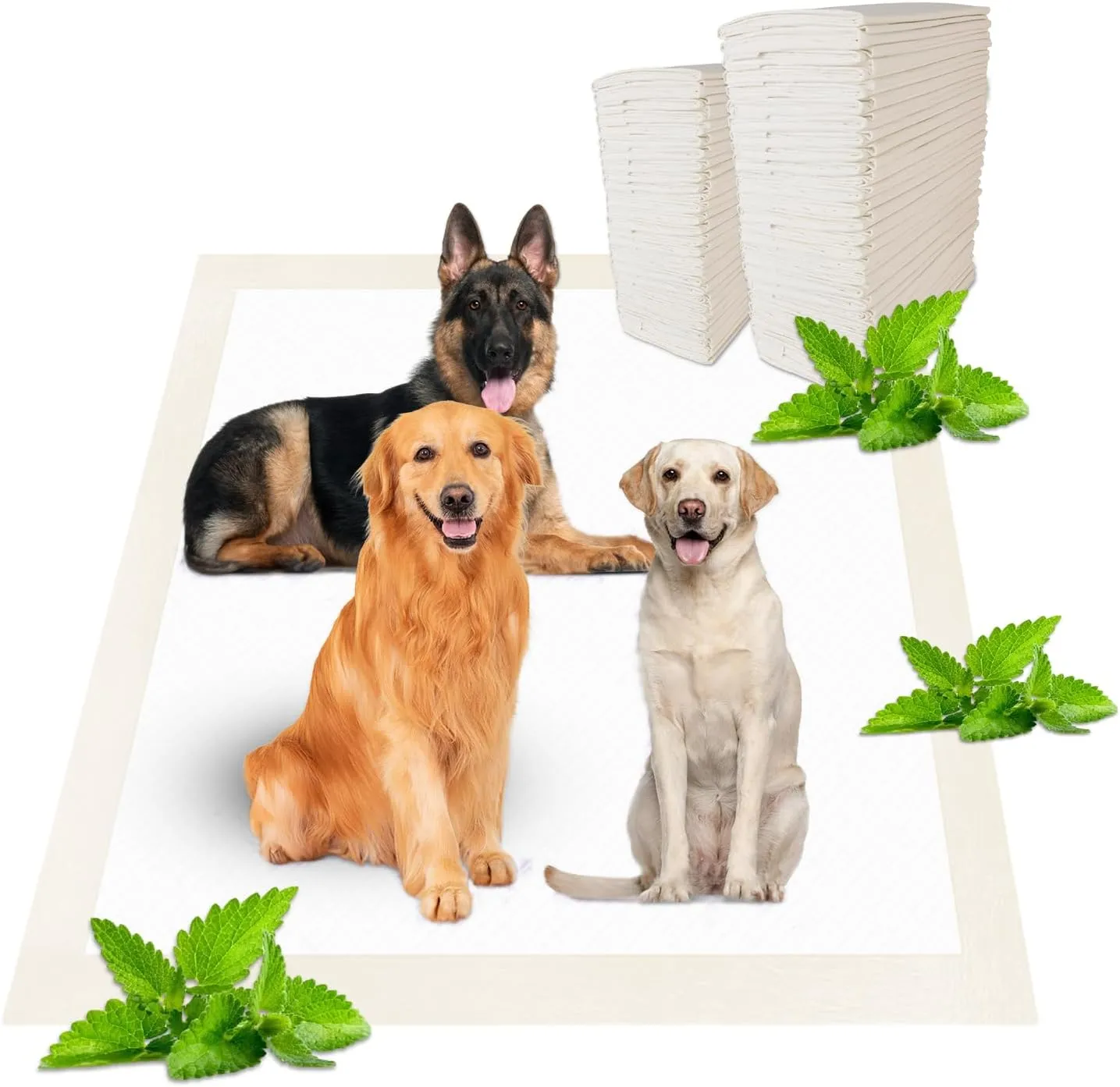 Boscute Lavender Scented Super Absorbent & Leak-Proof Puppy Pads, 36"x36" Odor Control Pet Training Dog Pee Pads, Thicken Quick Dry Pee Pads, Potty Training Pads for Dogs Cats (Minty Scented)