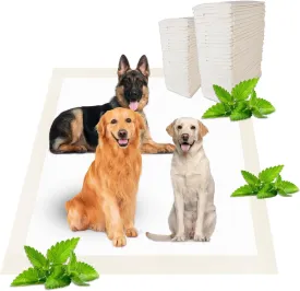 Boscute Lavender Scented Super Absorbent & Leak-Proof Puppy Pads, 36"x36" Odor Control Pet Training Dog Pee Pads, Thicken Quick Dry Pee Pads, Potty Training Pads for Dogs Cats (Minty Scented)