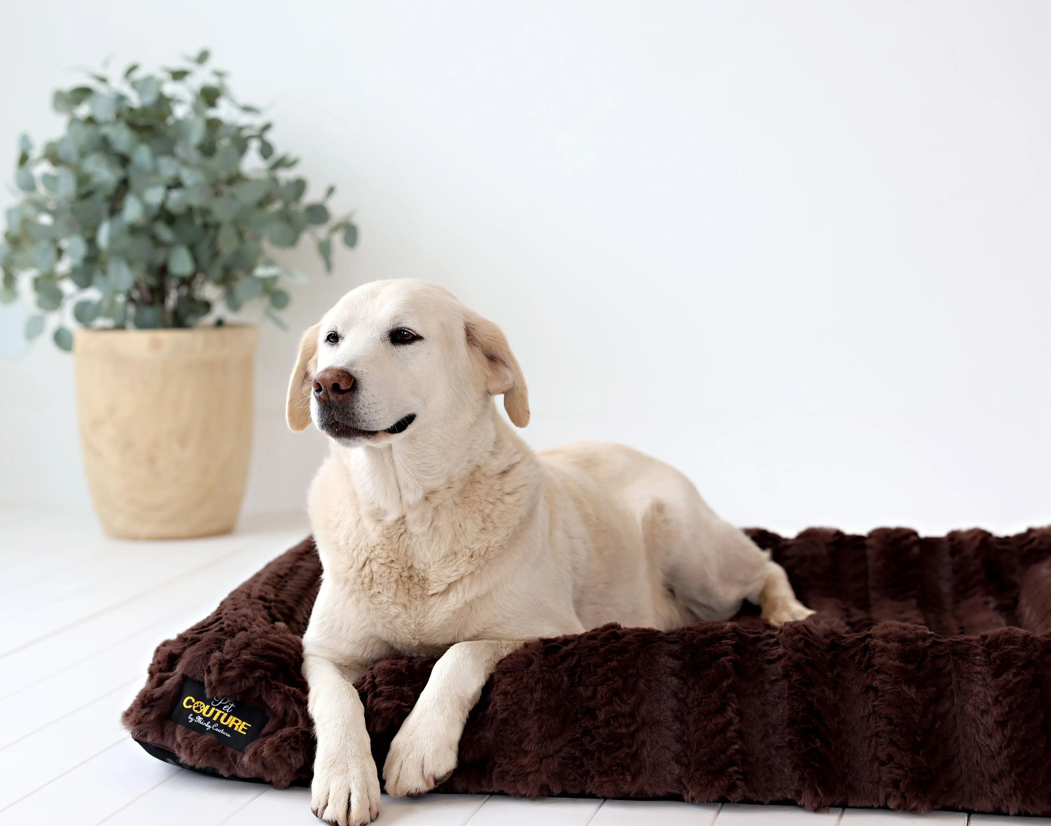 Brown Plume Pet Bed