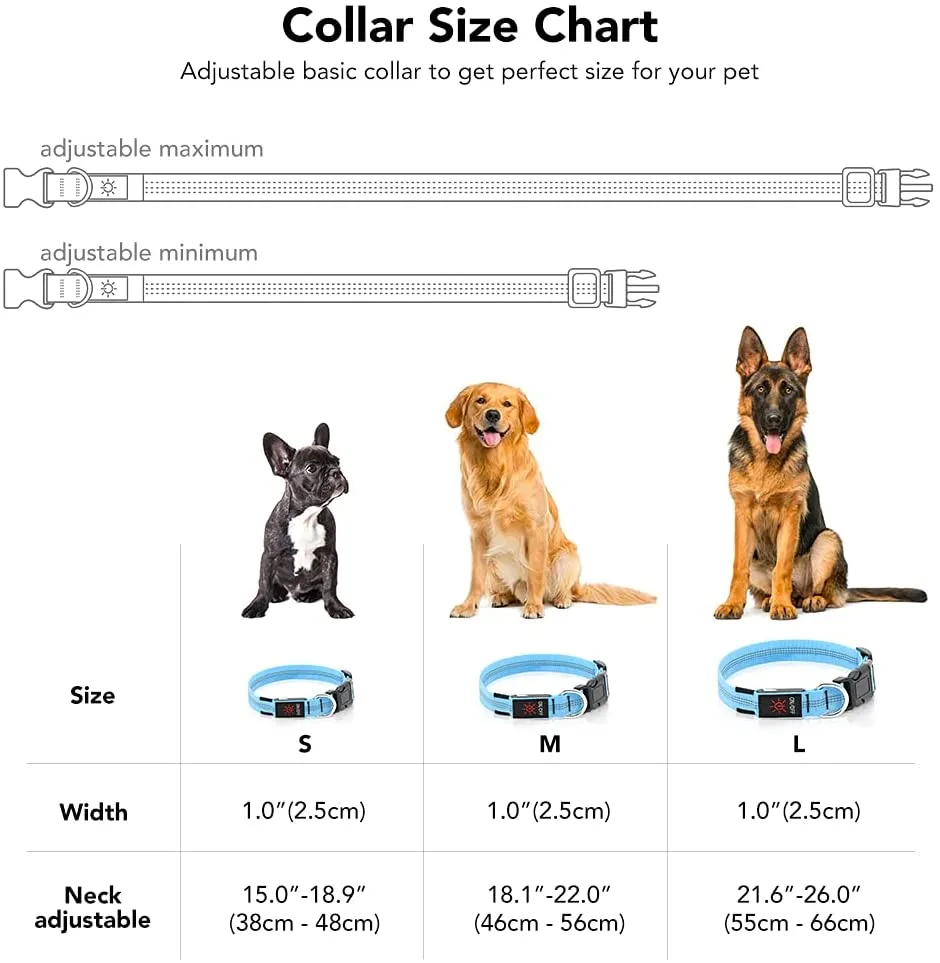 BSEEN Reflective Light Up Dog Collar