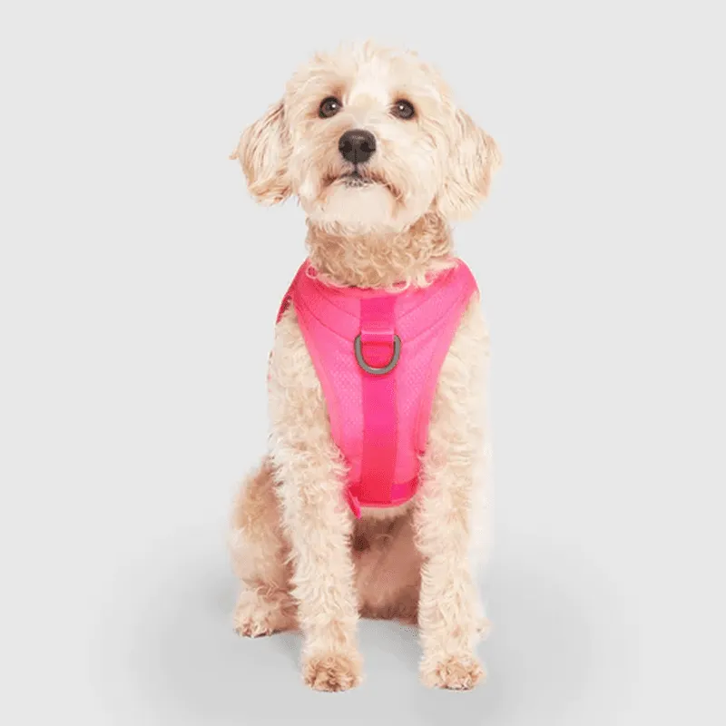 Canada Pooch Cooling Harness Neon Pink