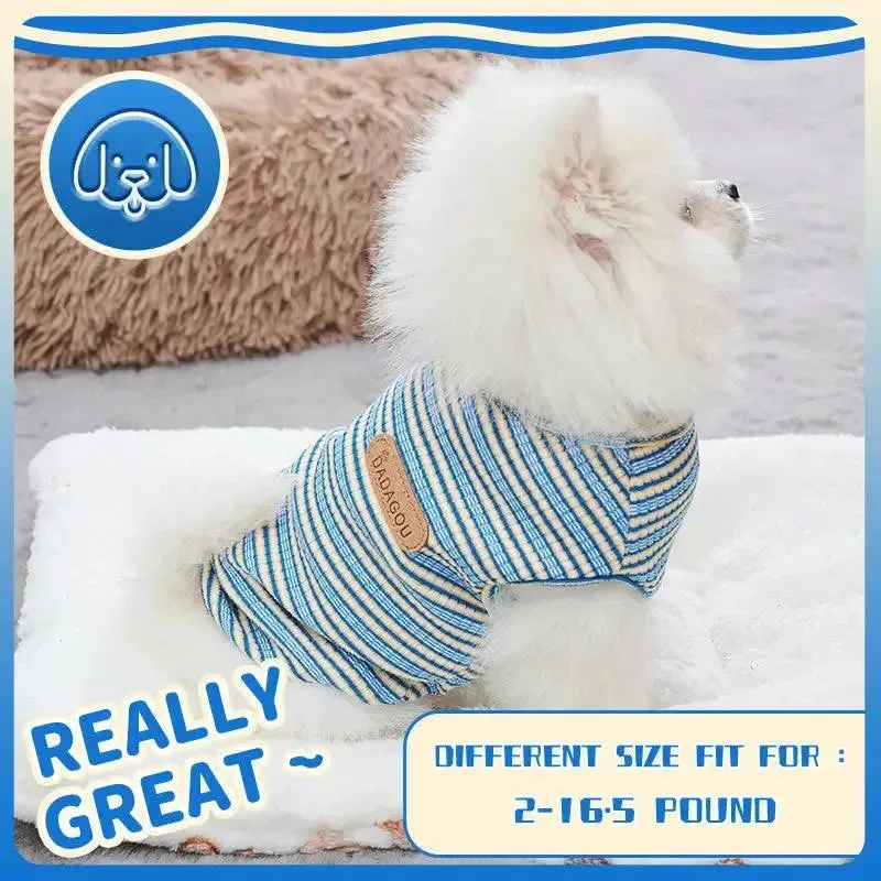 Cool in Style: Designer Cooling Vest for Small Dogs!