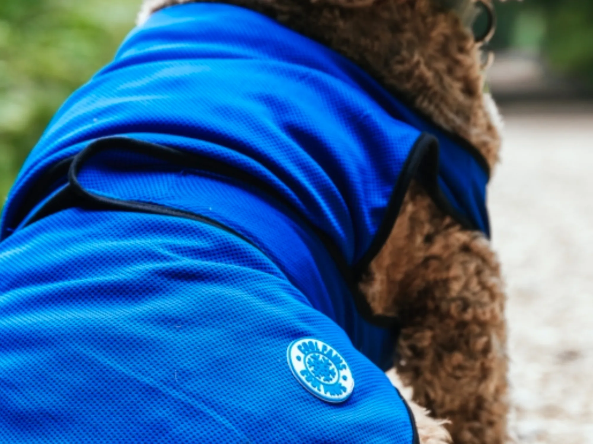 Dog Cooling Coat