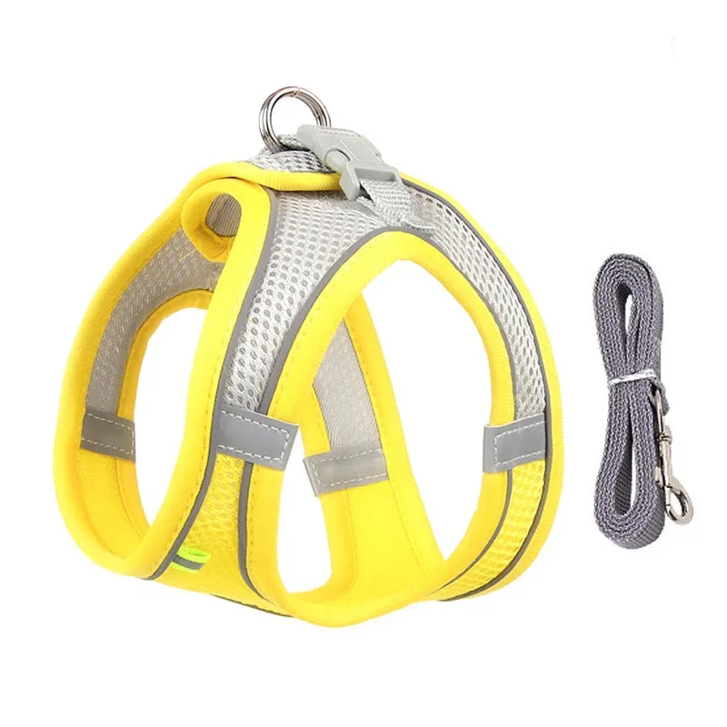 Dog Harness Leash Set