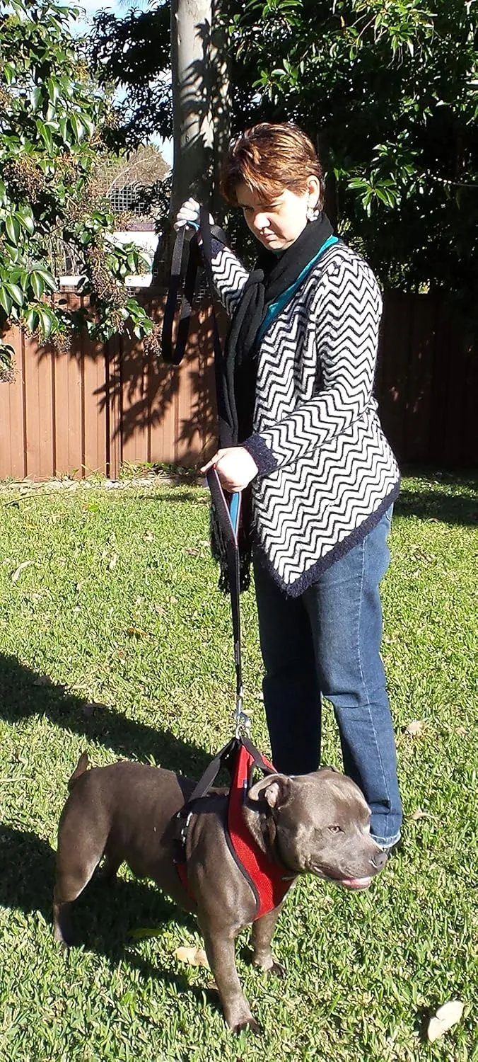 Dog Leash 6ft Long,Traffic Padded Two Handle,Heavy Duty,Reflective Double Handles Lead for Control Safety Training,Leashes for Large Dogs or Medium Dogs,Dual Handles Leads(Black)