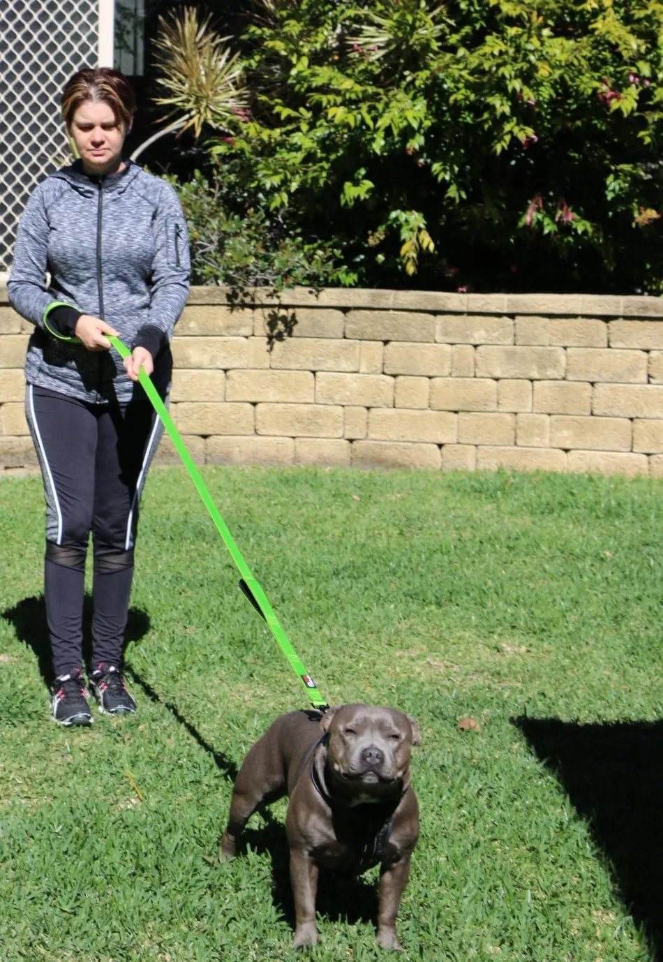 Dog Leash 6ft Long,Traffic Padded Two Handle,Heavy Duty,Reflective Double Handles Lead for Control Safety Training,Leashes for Large Dogs or Medium Dogs,Dual Handles Leads(Green)