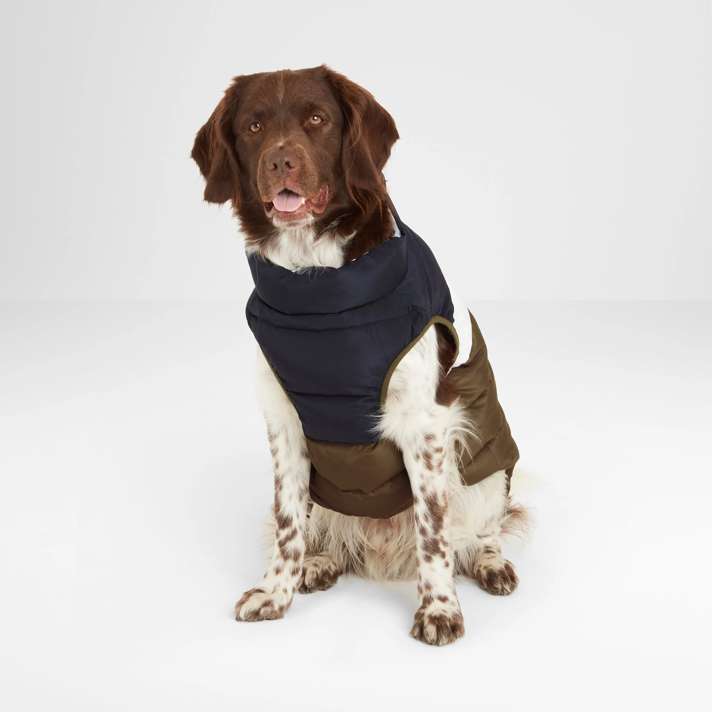 Fetch Padded Dog Coat M - Khaki/Dark Indigo/Optic White