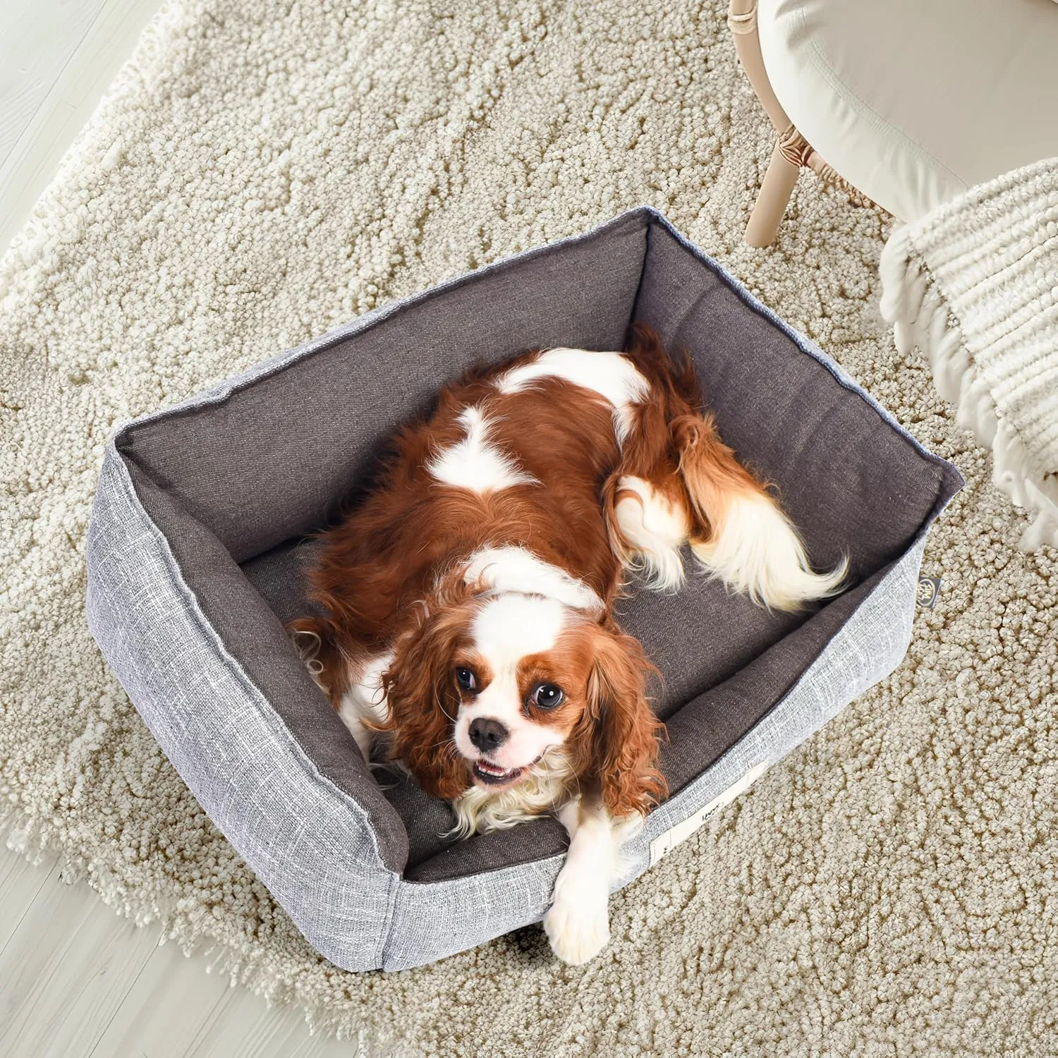 FluffyDream Small Dog Bed, Super Soft Pet Bed Furniture, Suitable for Dogs Up to 30lbs, 24'' x 20'', Grey