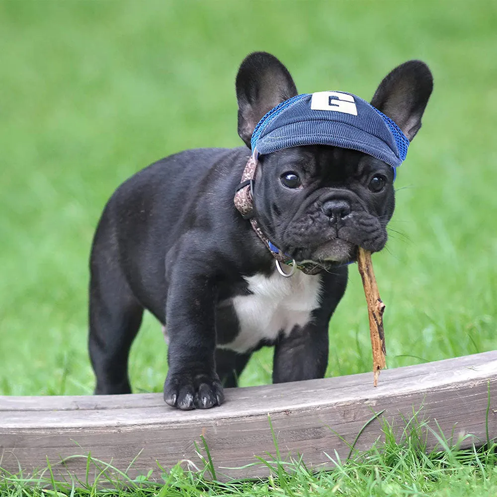 French Bulldog Baseball Cap Sun Protector