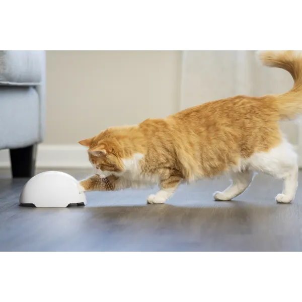 FroliCat® Fox Den Toy Automatic Cat Teaser