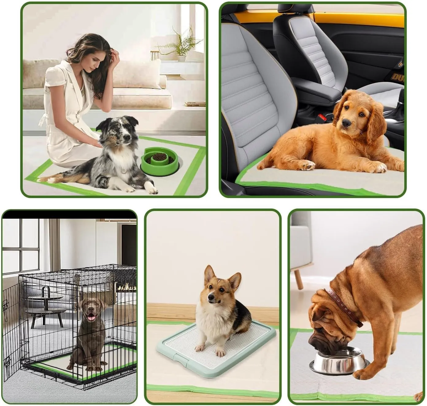 Gardner Pet Dog Pee Pads Extra Large 28"x34", XL Thicker ECO Green Disposable XLarge Puppy Training Pads Super Absorbent Full Edge-Wrapping Pad for Dogs, Puppies, Doggie, Cats, Rabbits-(30 Count)