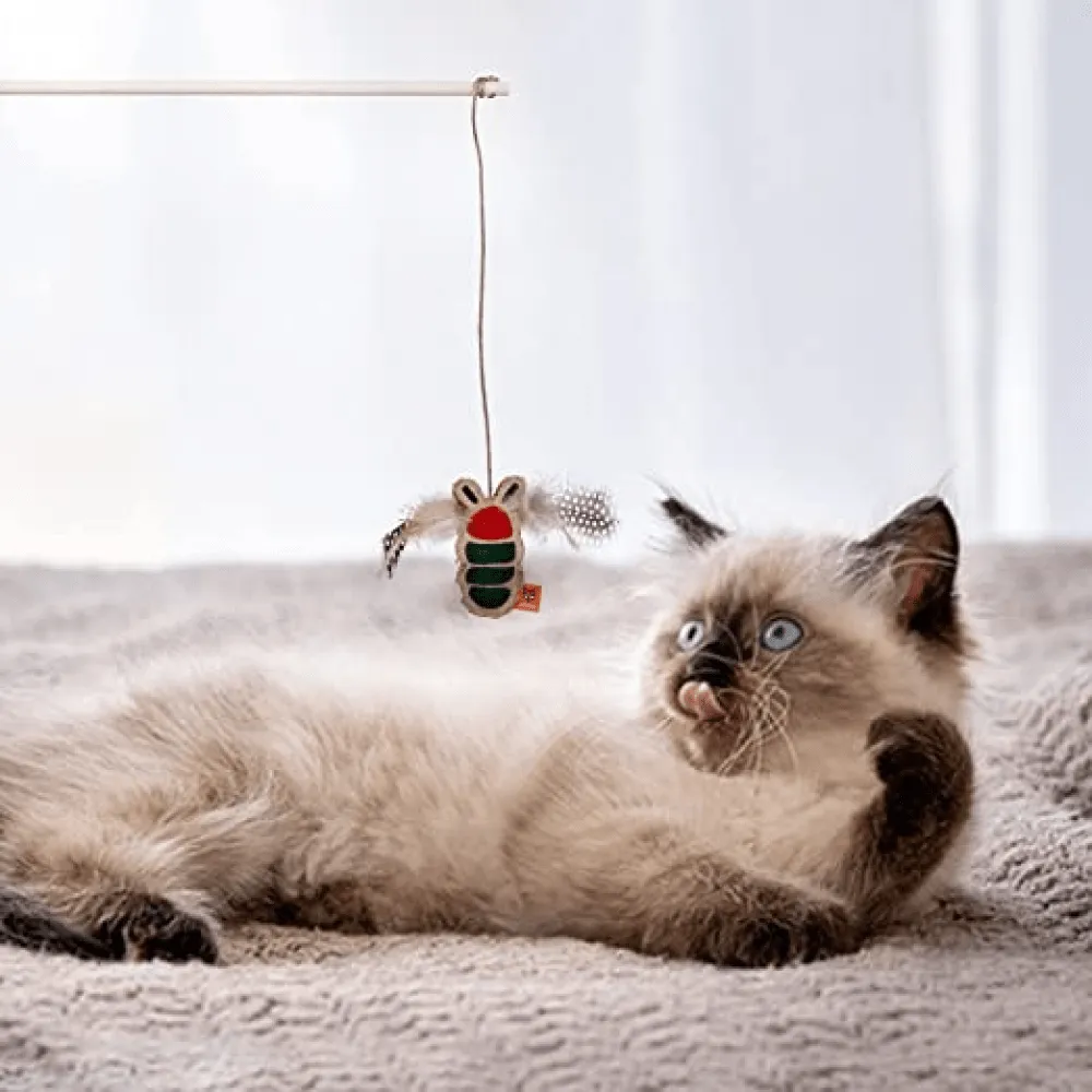 GiGwi Melody Chaser with Motion Activated Sound Chip Mouse and Fofos Scandi Beetle with Wooden Stick Toy  for Cats Combo