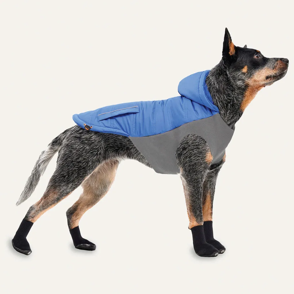Goo-eez Hooded Signature Winter Jacket for Dogs Royal Blue