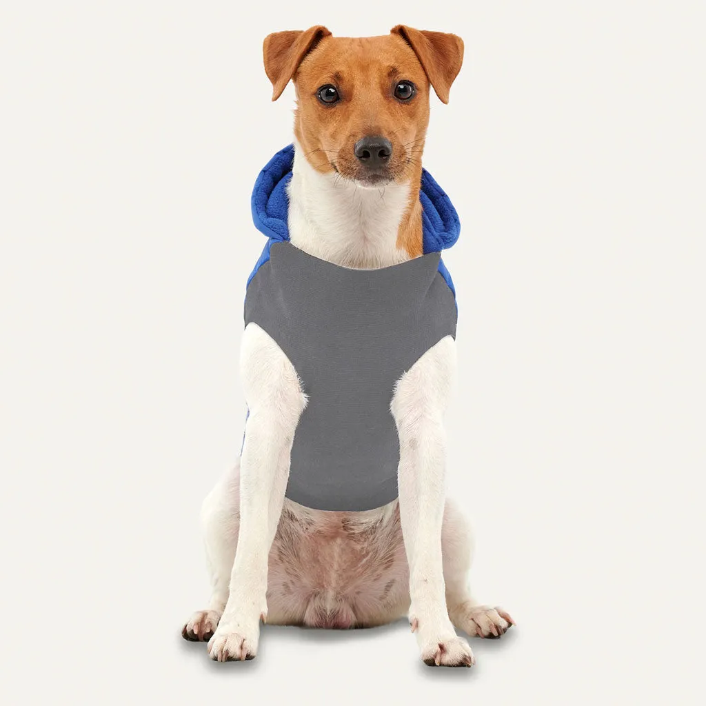 Goo-eez Hooded Signature Winter Jacket for Dogs Royal Blue
