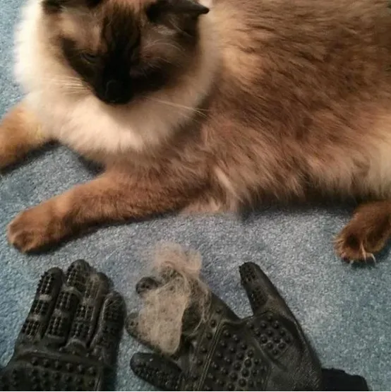 Grooved Pet Grooming Gloves