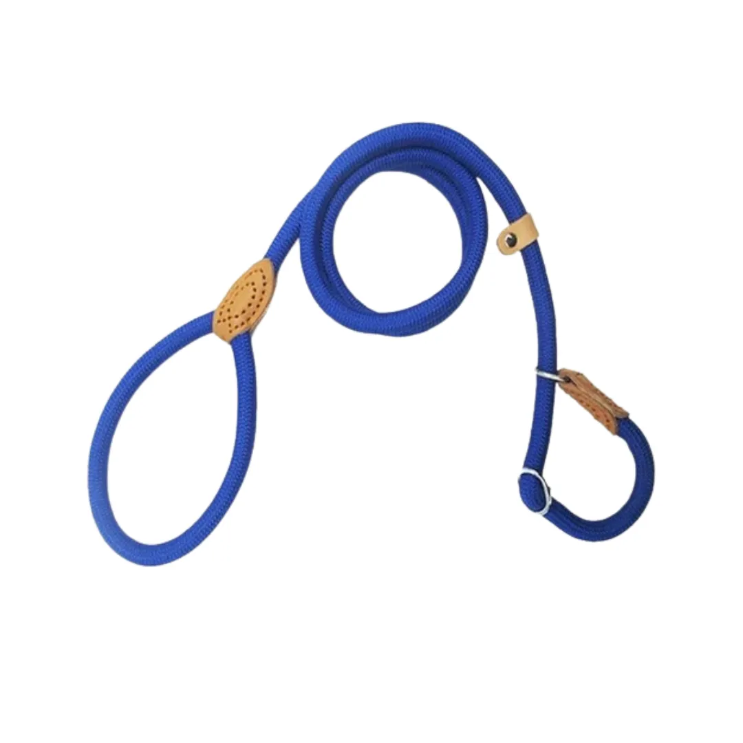Heavy Duty Nylon Adjustable Dog Leash