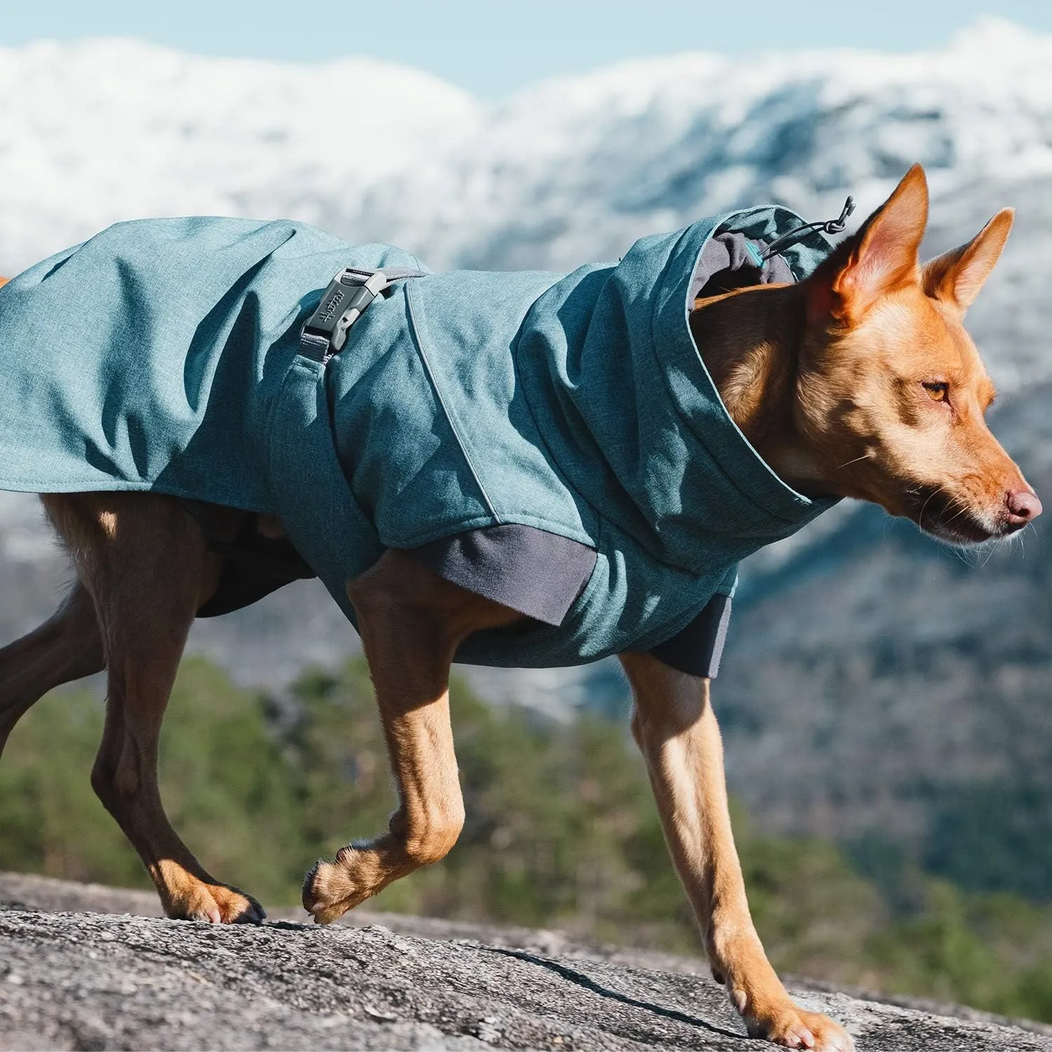 Hurtta Expedition Parka, Winter Dog Coat, Bilberry, 16XS