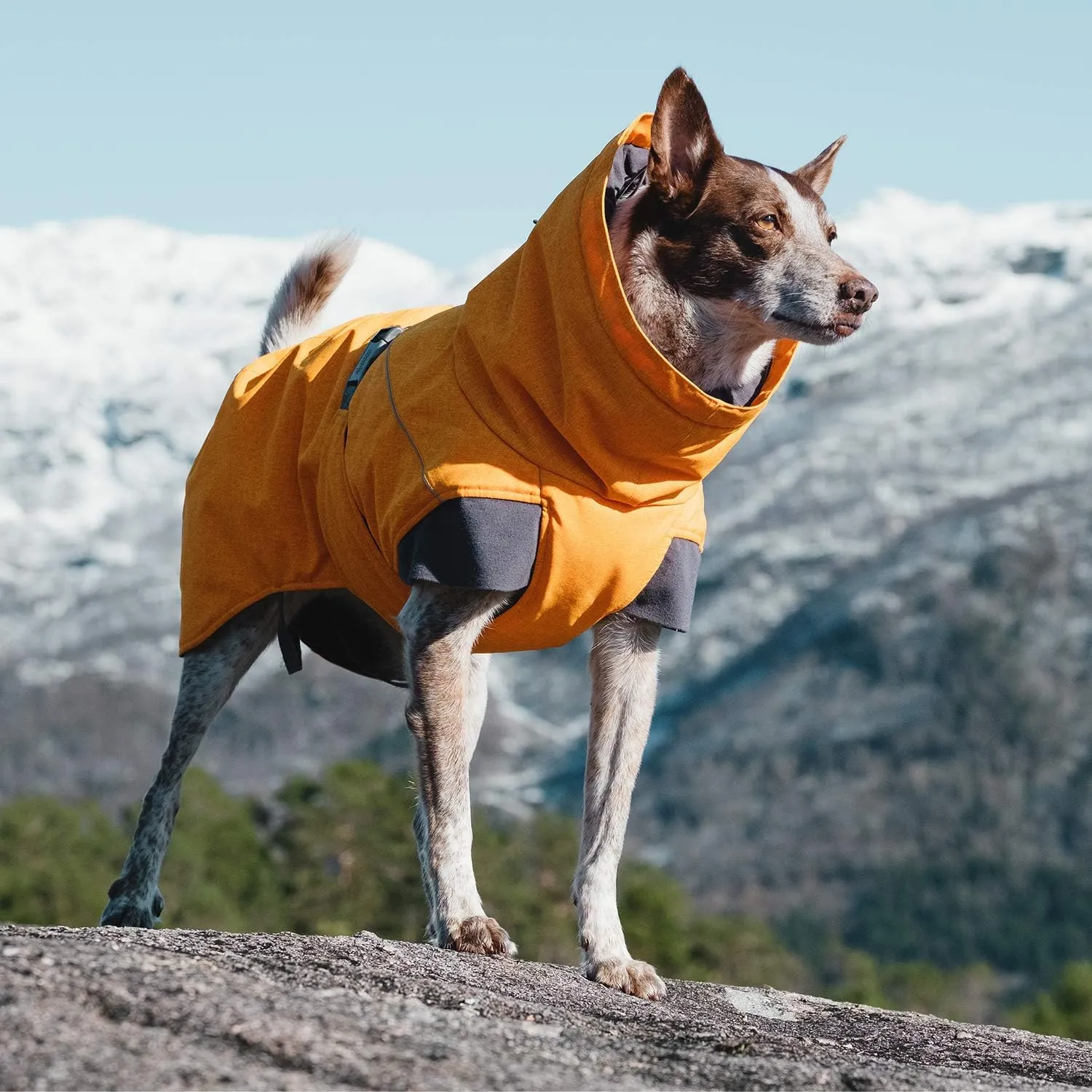 Hurtta Expedition Parka, Winter Dog Coat, Buckthorn, 16XS