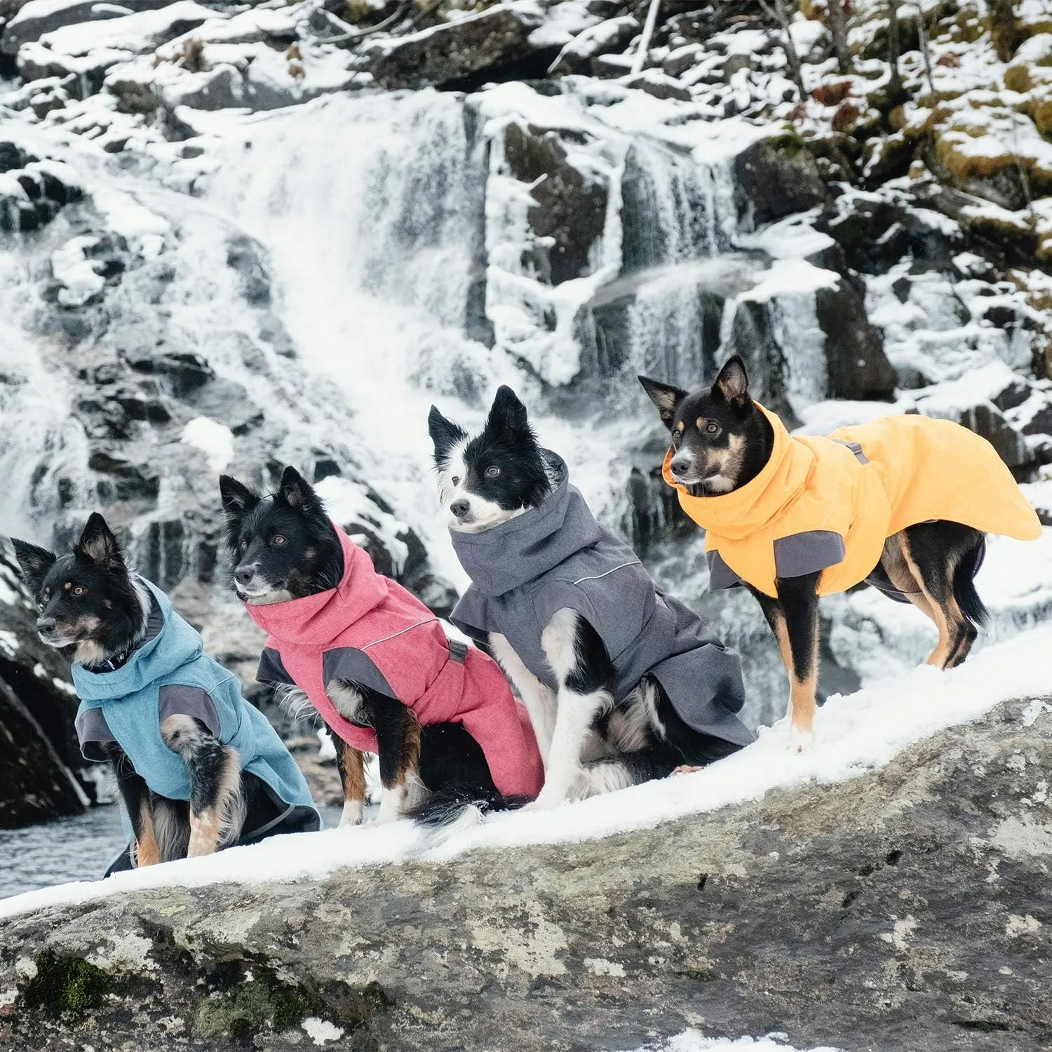Hurtta Expedition Parka, Winter Dog Coat, Buckthorn, 16XS